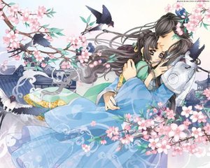 蘑菇成品人视频app